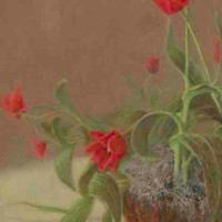 telene edington