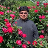 Syed Azan Ali