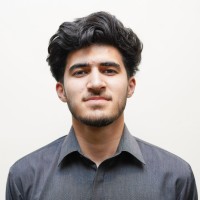 ayan ali