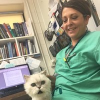 Caroline Tonozzi, Dvm, Dacvecc