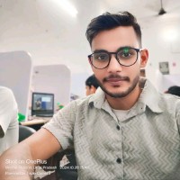 Ravi Kardam