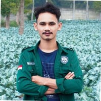M. Hilman Al Ayubi