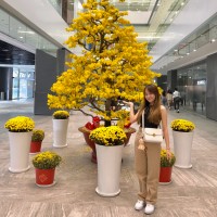 Thúy Liễu