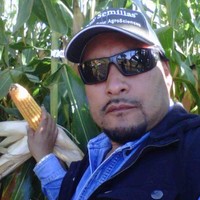 ANTONINO SEBASTIAN GUTIERREZ GARCIA