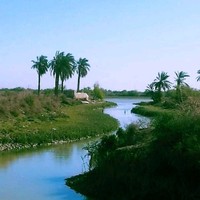 عصام الاسمر