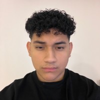 DENNYS LINO MONTENEGRO