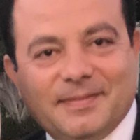 Amer Farouk Amer El-Feky