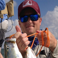 Steve Sonnier