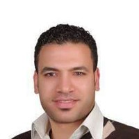 Hany Abdallah