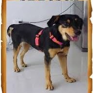 estefania Nicole mendoza briones