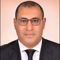 Bassem Nabil, PMP