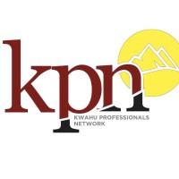 Kwahu Professional Network (KPN)