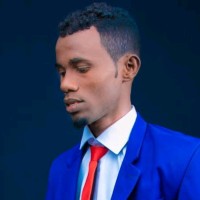 Nour Abdi