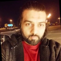 Syed Adeel Ali Rizvi