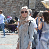 Hanen Ferjani