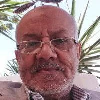 Mohamad Eltomn