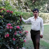 Bhanu Mishra