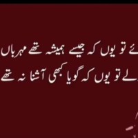 Muddassir Hameed