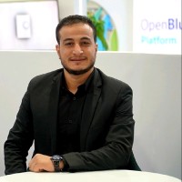 Mohamed Fayed