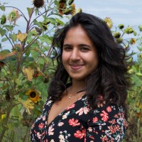 Reemsha Basrai