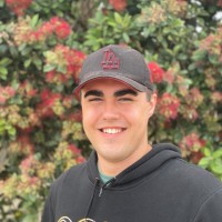 Cam Nicoll