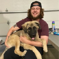 Tanner Nauta