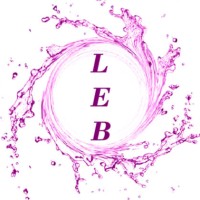 Limpiezas Express Burgos