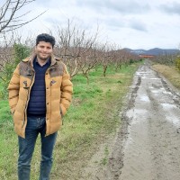 bagher roohvarzi