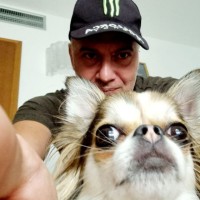 Daniele melli