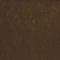 Inherent Inc