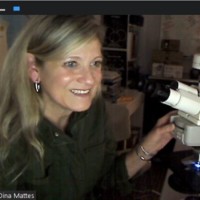 Dina Mattes