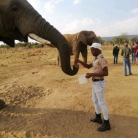 Moses Mabaso
