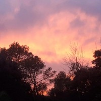 Laetitia MOUZON🌟🌟🌟