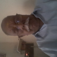 sankaraier subramaniam
