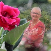 Jolanda Schreur