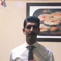 Moein Hasani