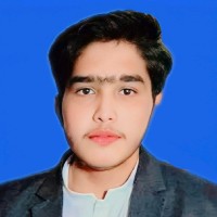 Muhammad Sibtain Raza