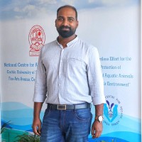 Muneer A