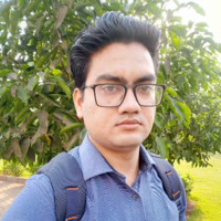 Raju Mehra