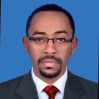 Mohammed Abdelmoniem Ali