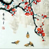 Jessie Ren