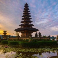 Bali Best Activities