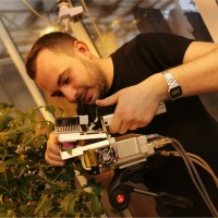 Matteo Lentini