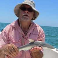 Mark Balentine