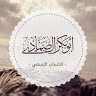 أبو بكر الصمادي