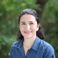 Sofia Pelaez, Msw, Rsw