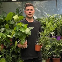 Felipe Sepúlveda Latife