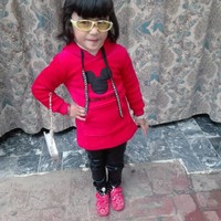 Fareeha Nazish