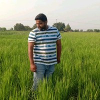 Abdurrehman Randhawa
