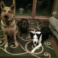 Kamloops Asphalt Fred Denomey